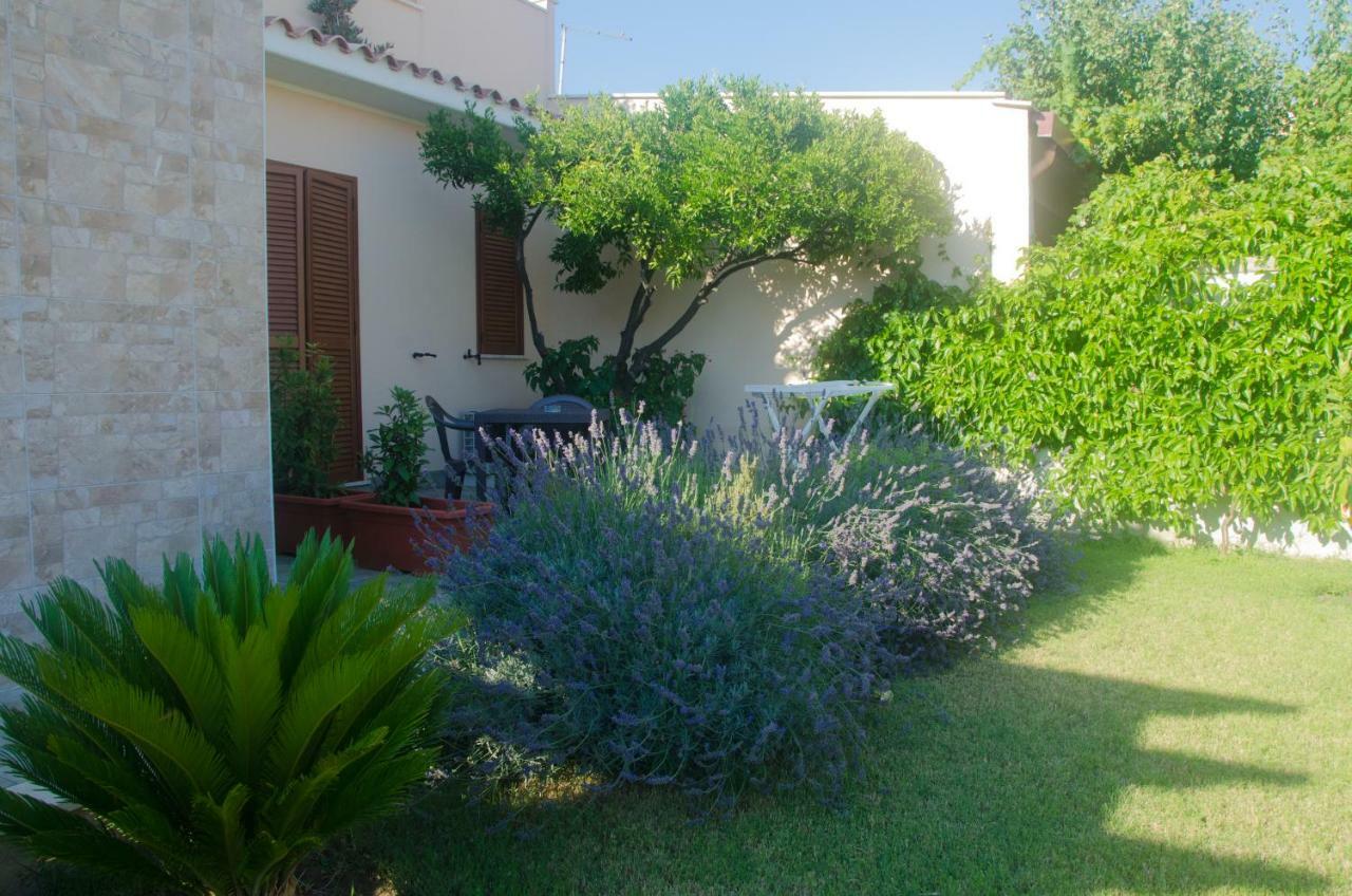 Baia Benessere B&B Eco Vegan Santa Severa Dış mekan fotoğraf